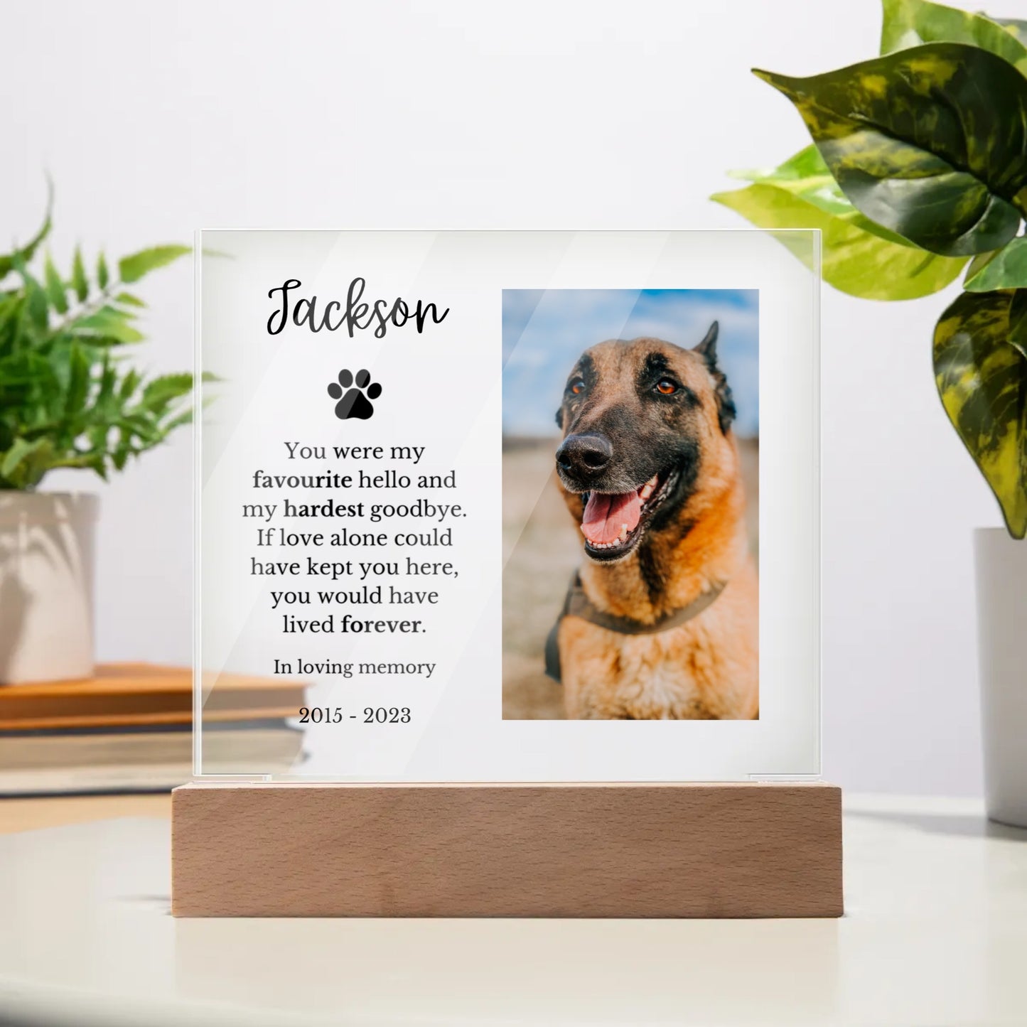 Personalized Acrylic Plaque - Hardest Goodbye